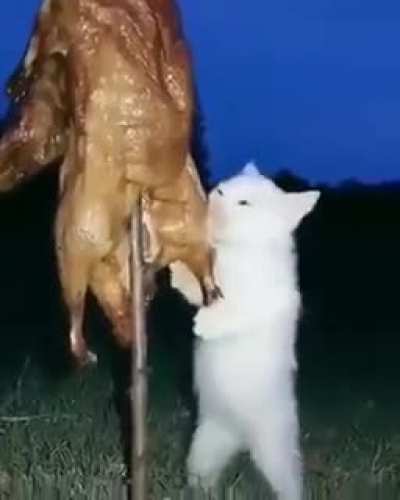 Rule