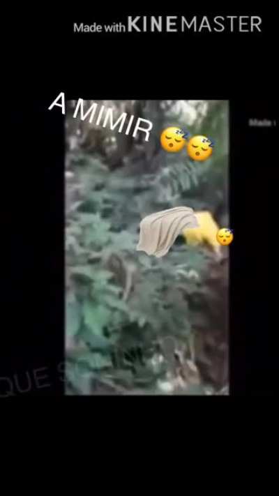 😴😴😴