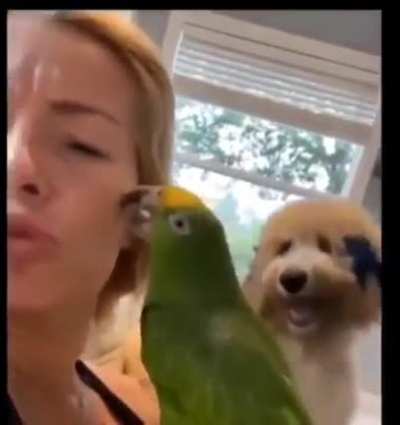 Jealous pawww