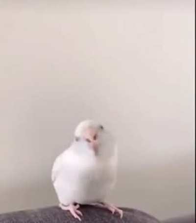 Lan ne kadar tatlı amk