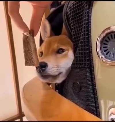 Dogecoin
