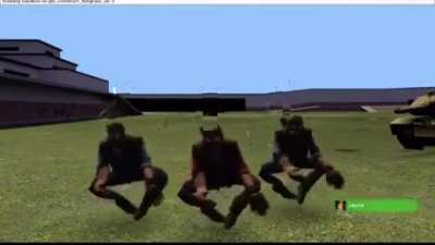 Bots after killing everyone on 2Fort