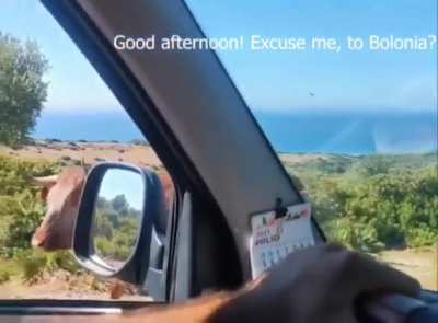 When your gps quits working