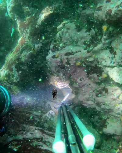 Spearfishing
