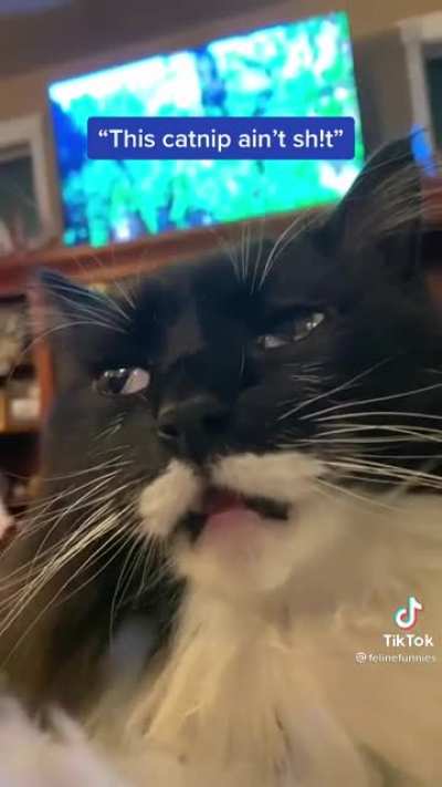 Zooooted!