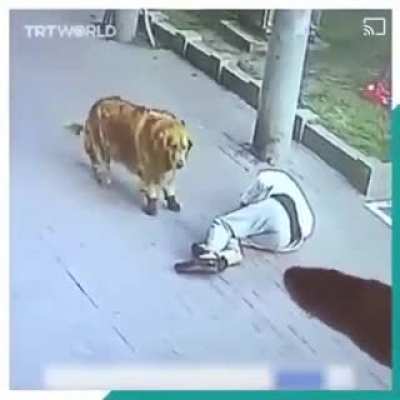 So why you were late for work this time?
