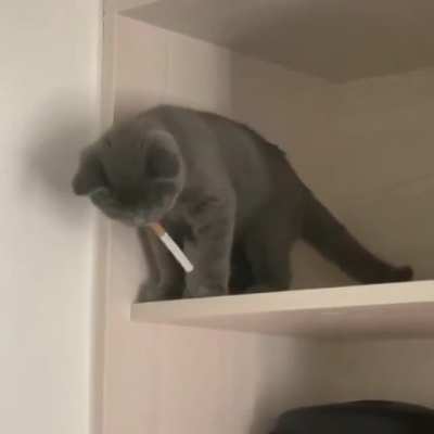 Where is my lighter?