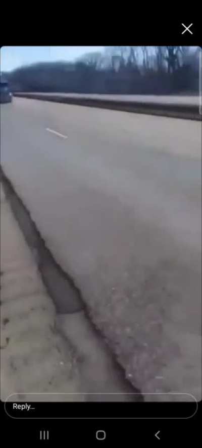 Idiot in truck let's turkey run onto highway