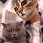 The way these cats react