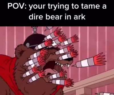 Dire bear go brrrrr