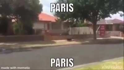 P🤮ris