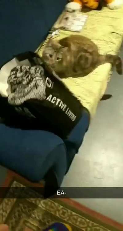 Æ