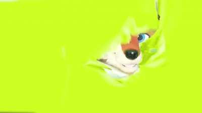 Greenscreen_irl