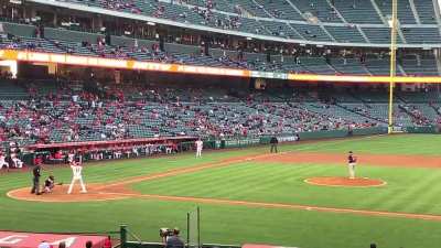 My view of Ohtani’s home run swing in the first inning