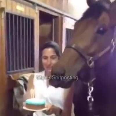 Caballo UwU