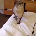 When you get that one unexpected strong SNEEZE