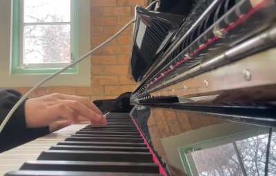 wildflower cover :D