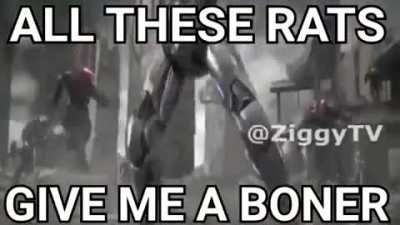 rat moment 😳😏😔😎😎😋