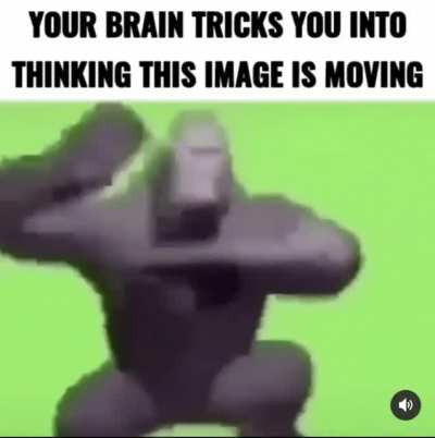 Illusion