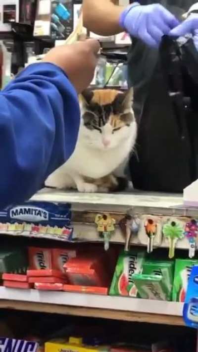 Thought this belonged here