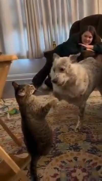 “This is Spartahhhhhhh!!!”