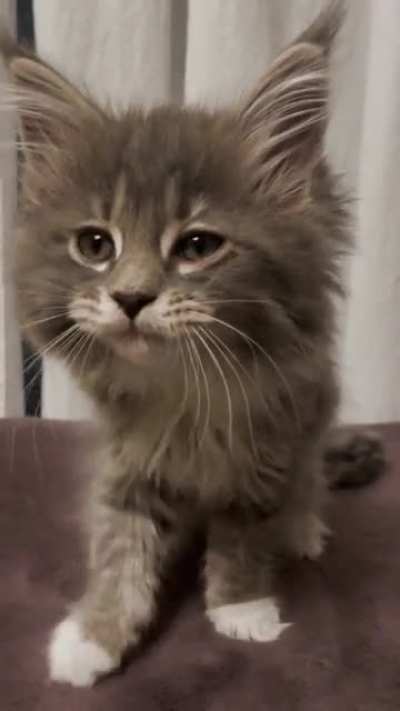 She just woke up, I think she wants some lovin’