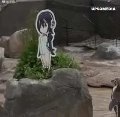 😭 no grape no