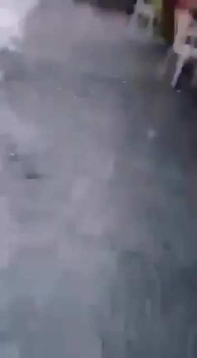 Rate my Dive