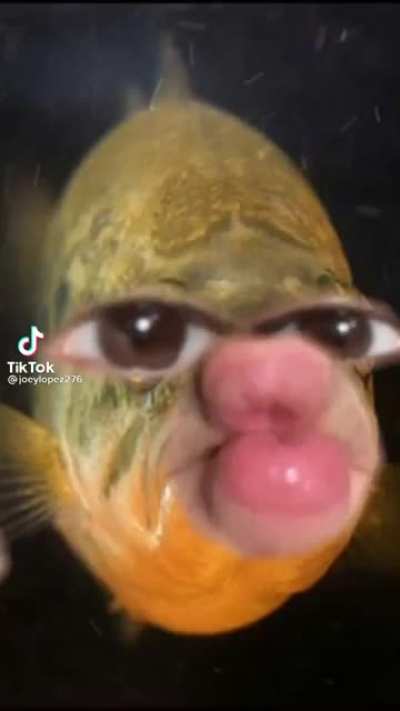 An Interesting Title