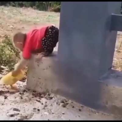 Monkey hugging duckling