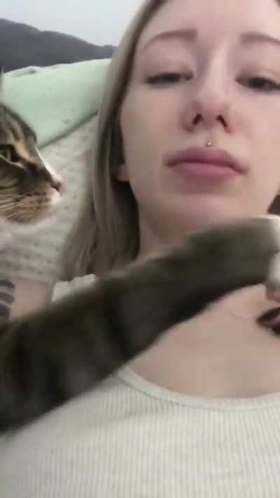 Terbiyesiz kedi kız bacımızı tenhada sıkıştırmış, işini görmeye çalışıyor. Senin anan baban yok mu terbiyesiz herif!