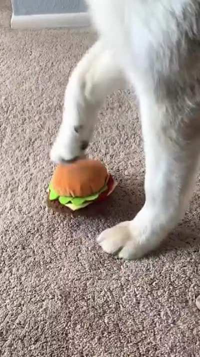 Husky Jamming