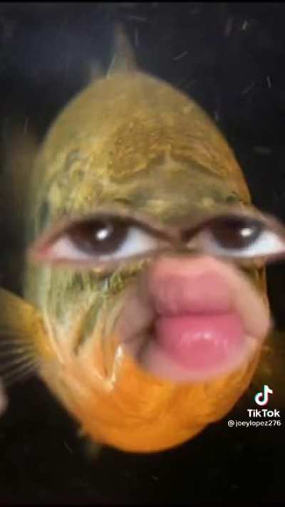 Rest in peace fish