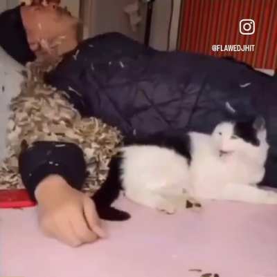 Wunk is somehow content with the sheer gluttony of humanity