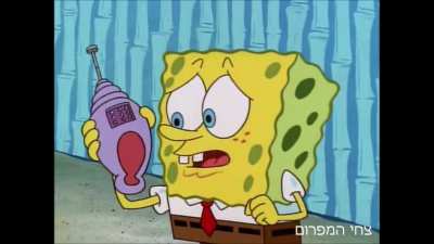 הרב קוק_במ