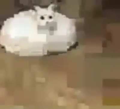 Low quality meme
