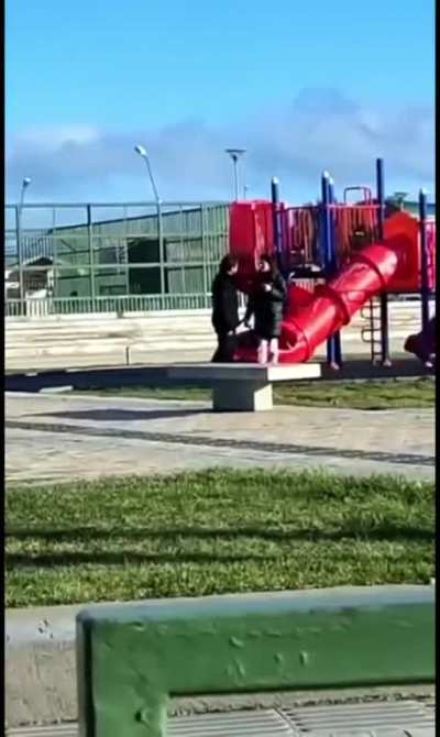 Presidente Boris queda atorado en tobogán de niños en Punta Arenas