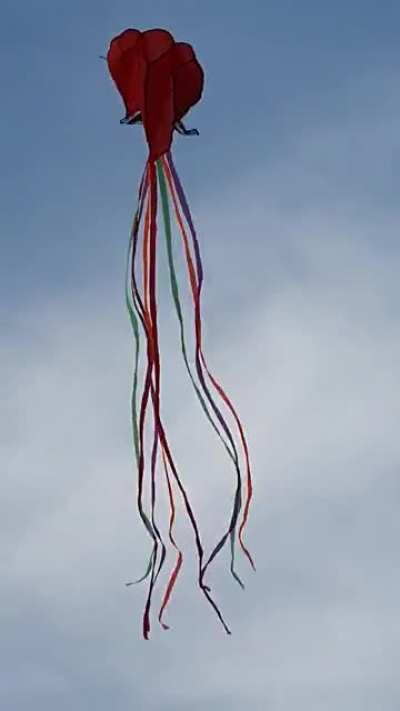 Kite.
