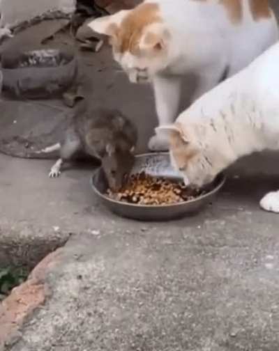 А ну подви<wbr>нься