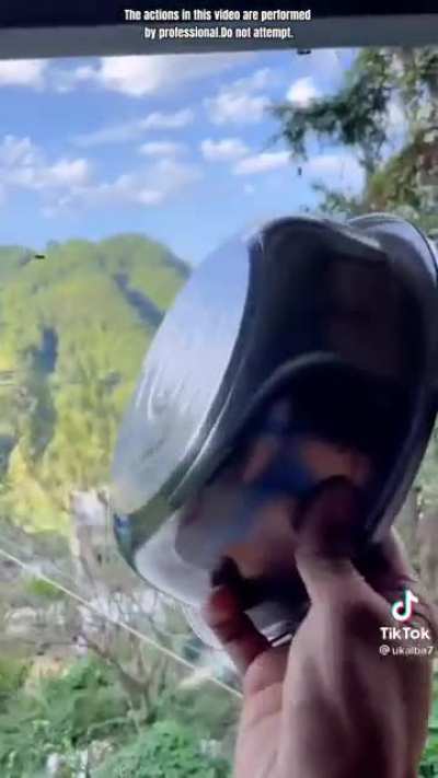 Wasps gettin’ the ka-bonk