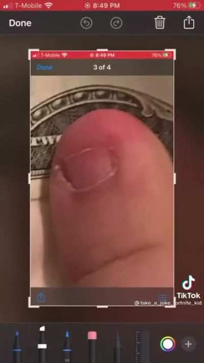 Sus