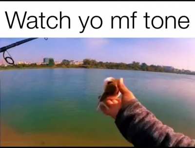Stupid ball