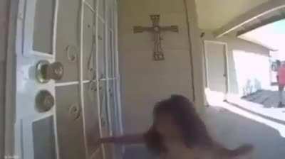 Toy de la perra