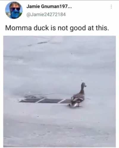 Setting up ducklings for failure