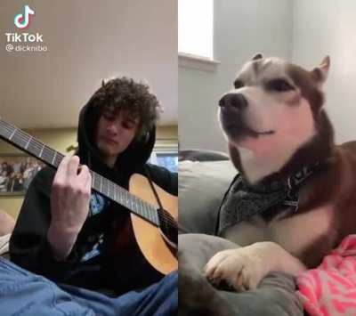 Good boy jamming with good boi