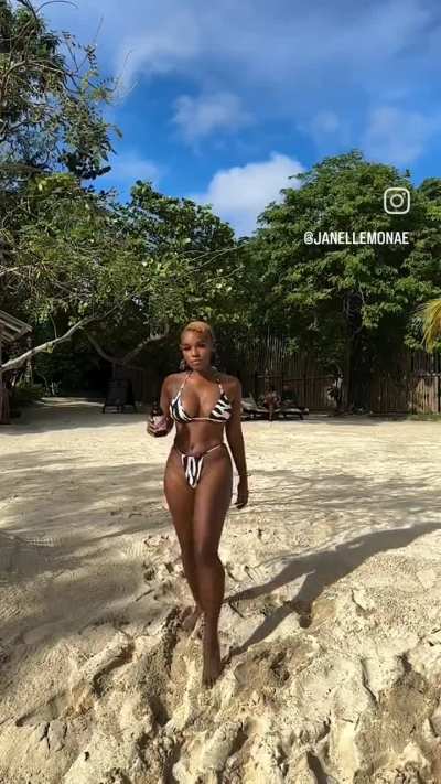 Janelle Monae 