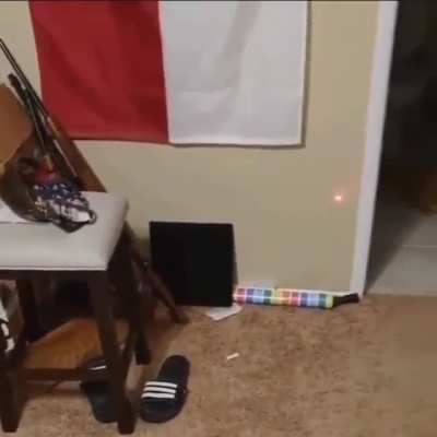 🐱🔫 = 💀