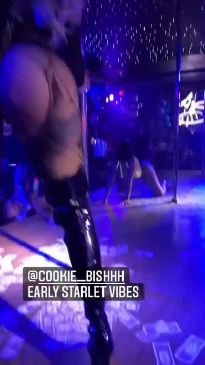 Vibe with cookie