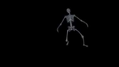 skeleton