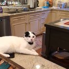 Angry and startled